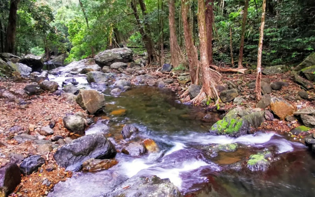 Stoney Creek Cottage