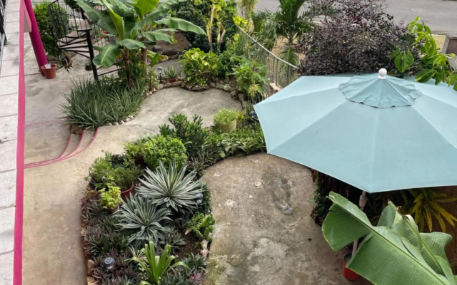 The Seaside Garden Guesthouse