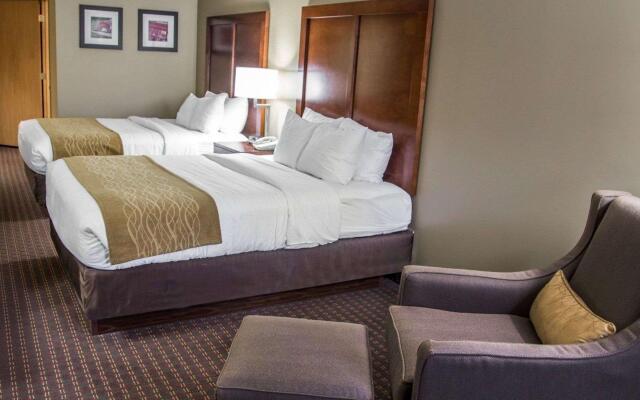 Comfort Inn & Suites Riverview near Davenport and I-80