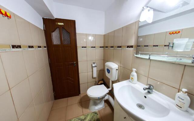 Luxury Radox Apartment Buzau City Center