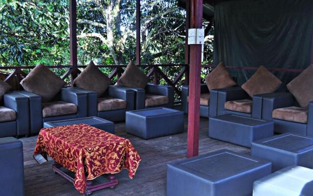 Sukau Greenview Bed and Breakfast