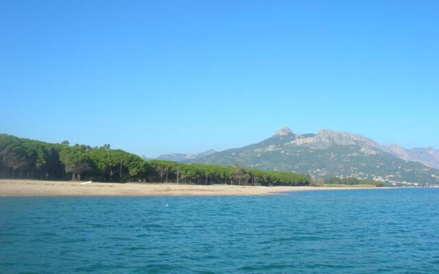 Oleandro