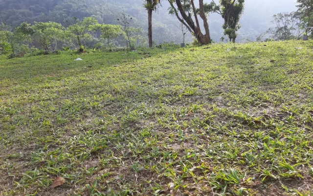 Mei Li Homestay