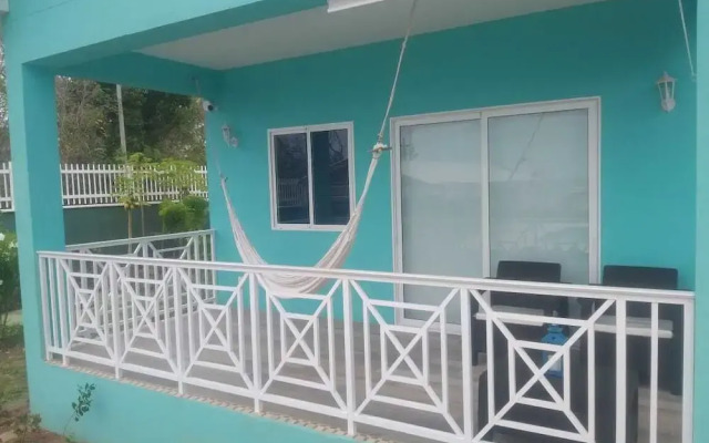 Blue Lizard House