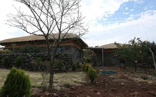 Seogwipo Chogain inn Guest House