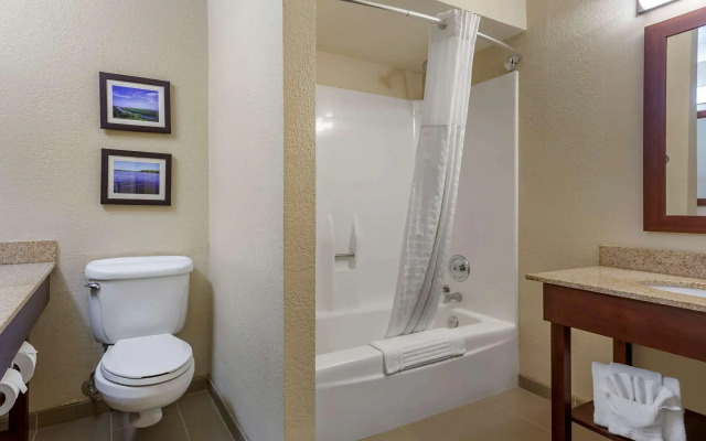 Comfort Inn & Suites Rochelle - DeKalb