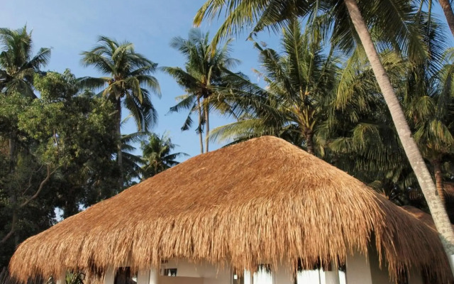 Pura Vida Beach & Dive Resort