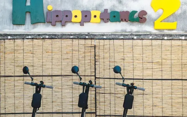 Thank You Hippopotamus 2 Nikai