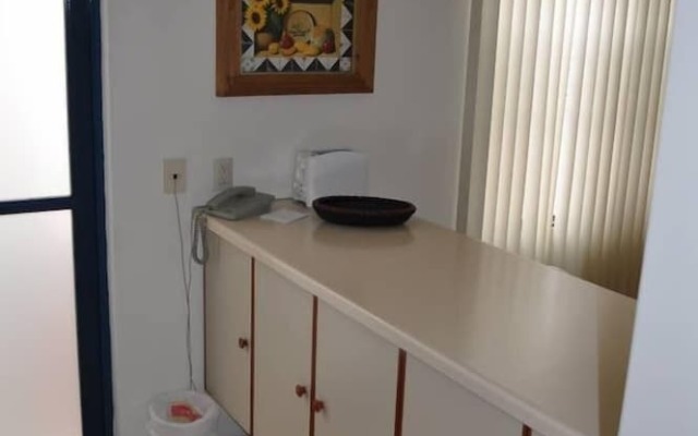 Centrico con Seguridad y Alberca