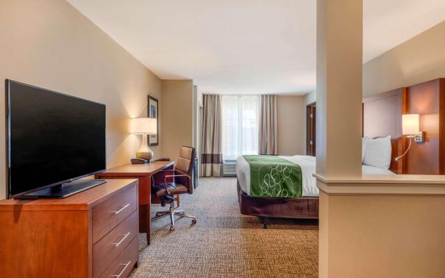 Comfort Inn & Suites Schenectady - Scotia