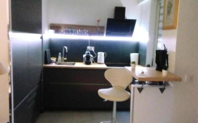 NICE- GAIRAUT - JARDIN PRIVE- GRAND F1 LUMINEUX-Piscine Collective