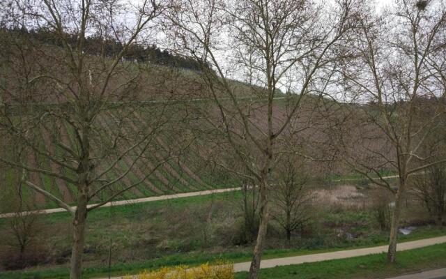 Ferienappartement Trier