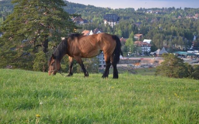 Zlatiborska vila 2