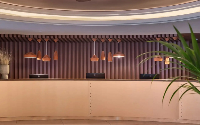 Domes Aulus Zante, Autograph Collection