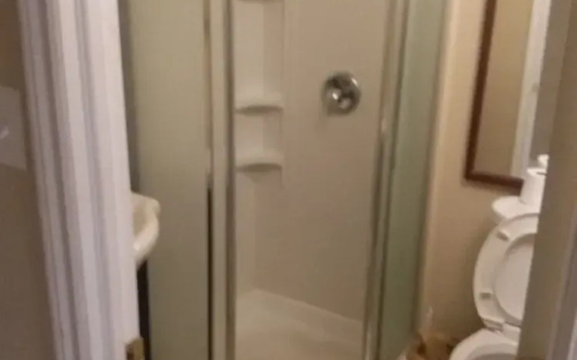 Toronto Furnished Living