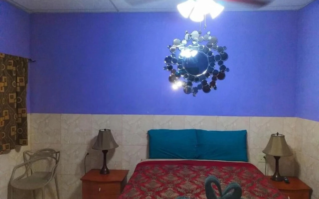 Windmill Hostel