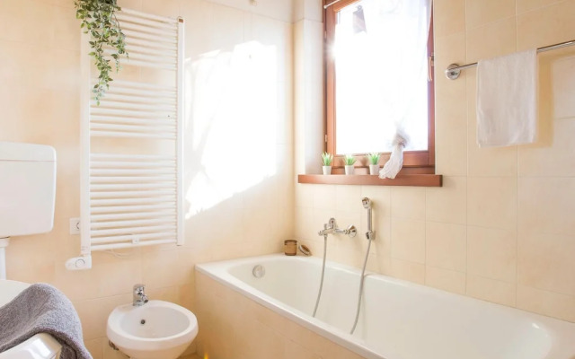 Experia Golf Loft - Italian Homing