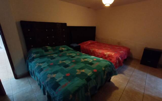 Toluca Centrica House