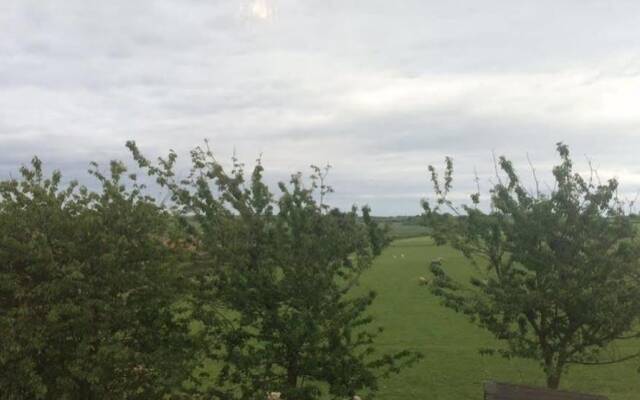 Hillcrest House Bed & Breakfast