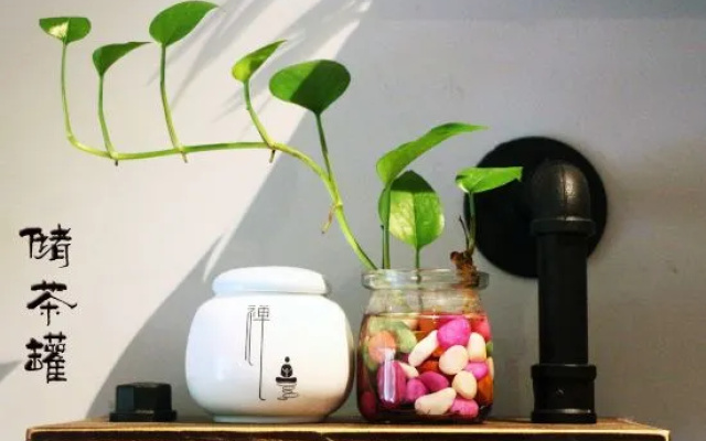 Shenzhen Dapeng Liuli Boutique Hostel – People – Shenzhen