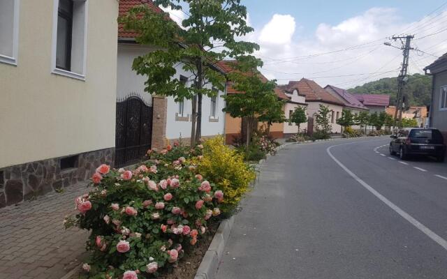 Apartament Teilor