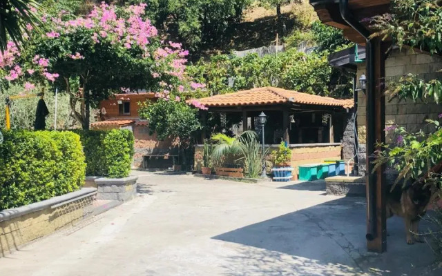 Serenity ‘s House