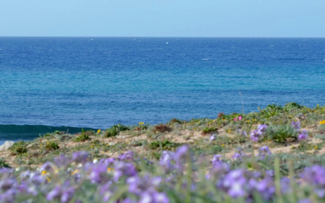 Residence Cala Verde