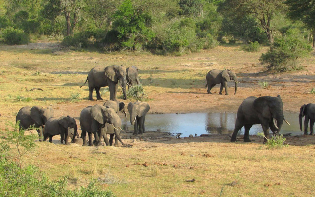 Royal Thonga Safari Lodge