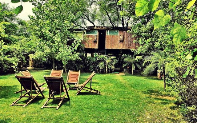 The Tree House Resort