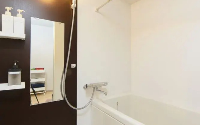 Saintpaulia Osaka-castle