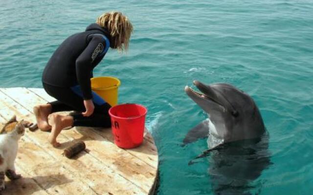 FaRoyal Luxury Suite