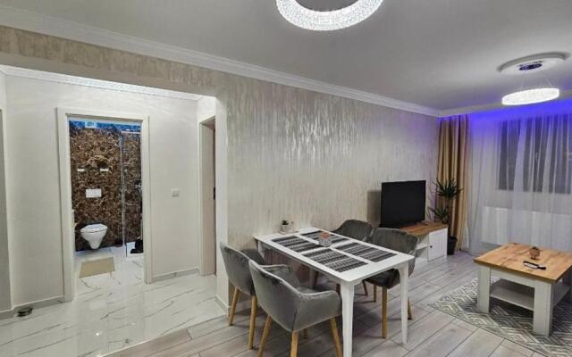 Divine Apartments Oradea Ap 19