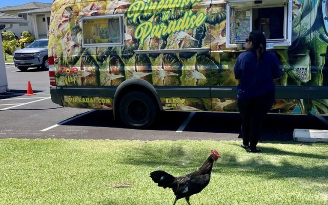 Plantations 111 by RedAwning