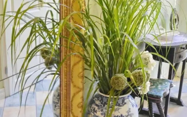 Orangery Berum Modern Retreat