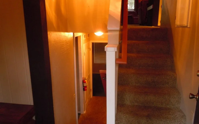 Escape For All Seasons