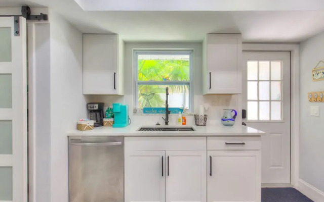 The Mermaid and the Sea Turtle