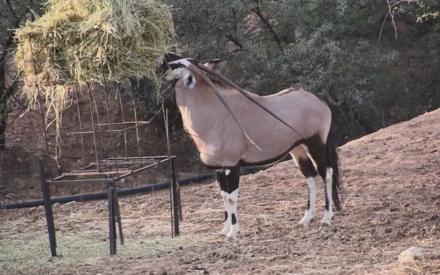 Zwartberg View Mountain Lodge