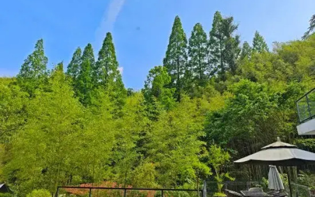 Yunfeng Zhuyuan Hostel