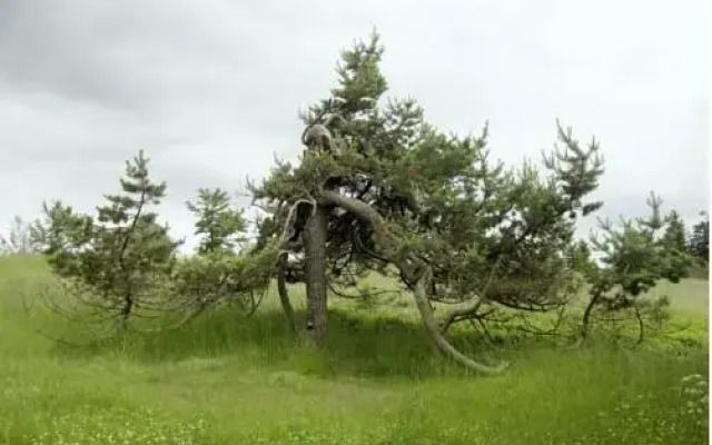 Ferienhaus am Rothaarsteig