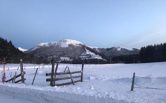 Appartement Mont-Dore, 2 pièces, 4 personnes - FR-1-608-181