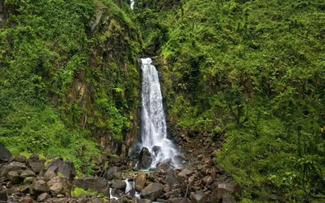 Le Petit Paradis