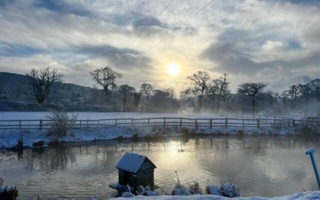 The Saddlery Cheshire