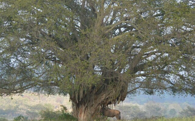 Izintaba Private Game Reserve