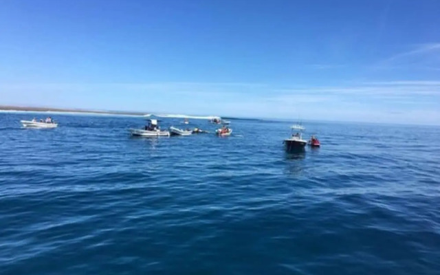 Funky Fish Beach & Surf Resort - Hostel