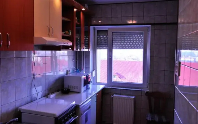 Apartment Dorobanti Mario Plaza