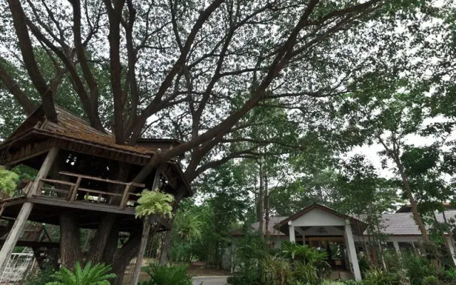 Tree House Hotel