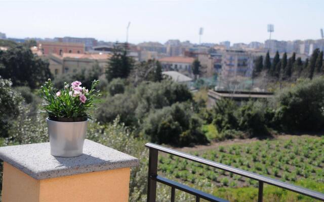 La Circumetnea B&B