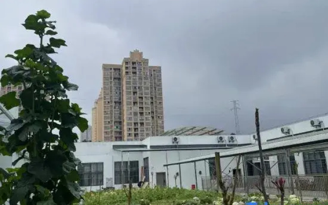 Rongqi Homestay (Chongqing Baisha Film Base)