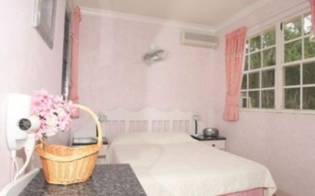 Palm Paradise Guest House and Apartments