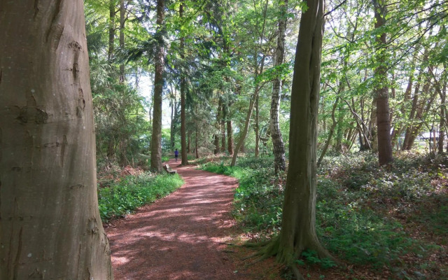 Wellness Ferienwohnung Waldblick